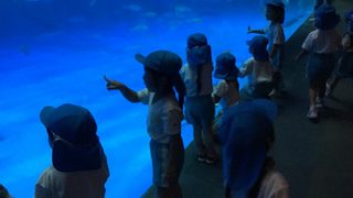 水族館見学(年中さん)